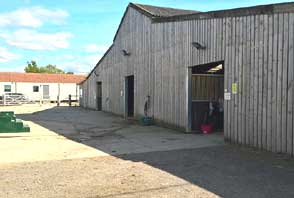Rein and Shine livery yard barn stables 